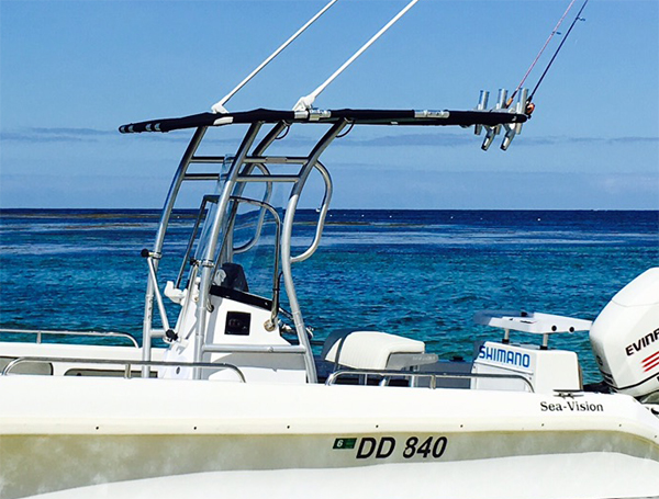Promotion! Dolphin Pro2 Center - огляд і ціна Fishing Rod Holder